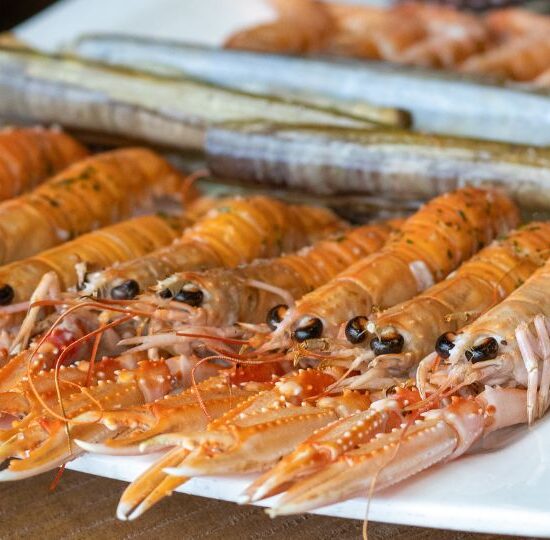 Diseño sin título (5)